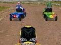 Spēle Lawnmower Racing 3D