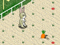 Spēle Animal 4 Steps