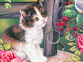 Spēle Hidden Numbers Cat