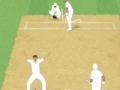 Spēle Cricket Umpire Decision
