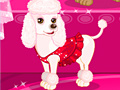 Spēle Celebrity Dog
