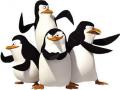 Pingvīni Madagaskaras spēles 